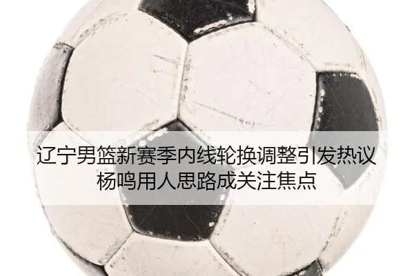 辽宁男篮新赛季内线轮换调整引发热议 杨鸣用人思路成关注焦点